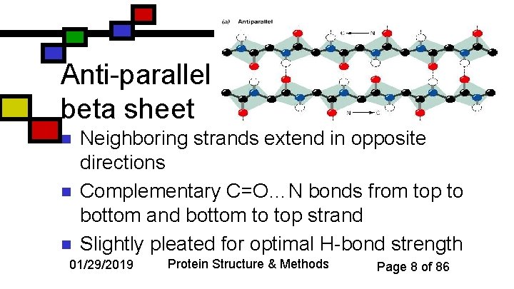 Anti-parallel beta sheet n n n Neighboring strands extend in opposite directions Complementary C=O…N
