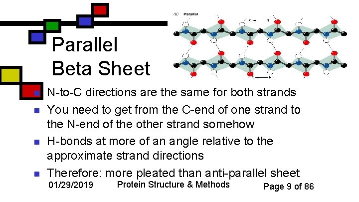 Parallel Beta Sheet n n N-to-C directions are the same for both strands You