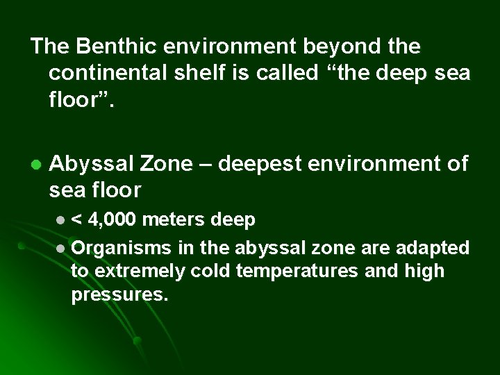 The Benthic environment beyond the continental shelf is called “the deep sea floor”. l