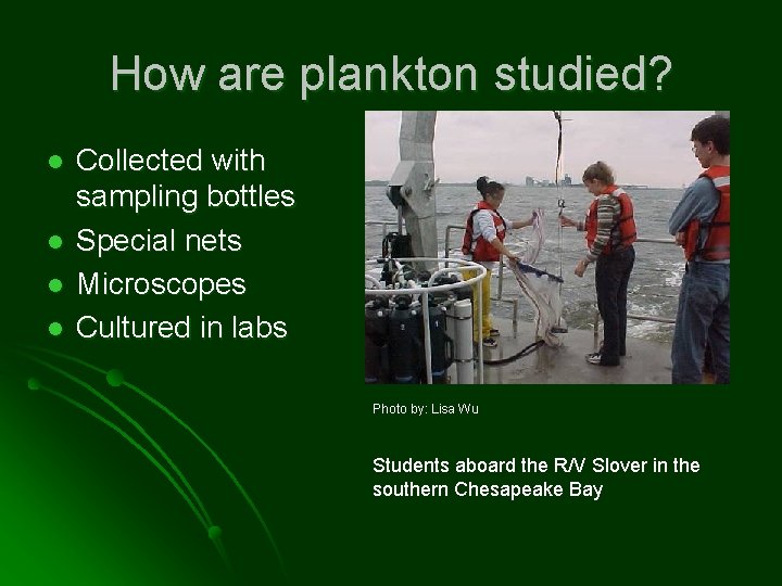 How are plankton studied? l l Collected with sampling bottles Special nets Microscopes Cultured