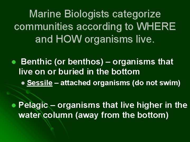 Marine Biologists categorize communities according to WHERE and HOW organisms live. l Benthic (or