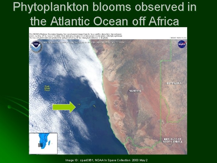 Phytoplankton blooms observed in the Atlantic Ocean off Africa Image ID: spac 0361, NOAA