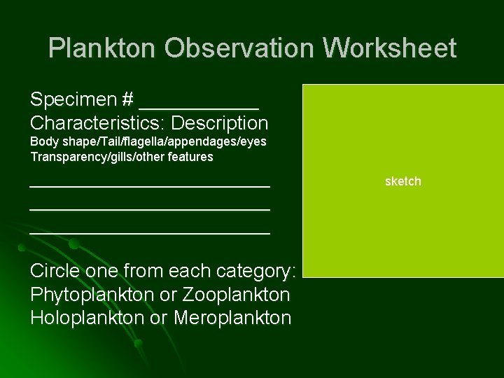 Plankton Observation Worksheet Specimen # ______ Characteristics: Description Body shape/Tail/flagella/appendages/eyes Transparency/gills/other features ______________________ Circle