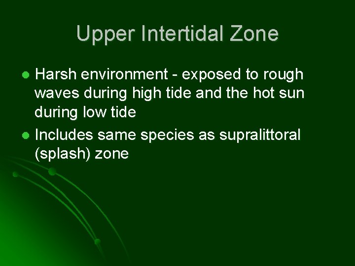 Upper Intertidal Zone Harsh environment - exposed to rough waves during high tide and