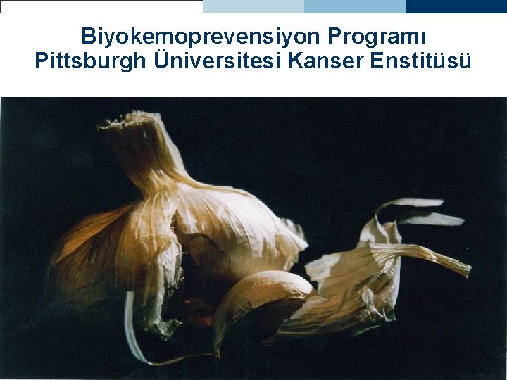 Biyokemoprevensiyon Programı Pittsburgh Üniversitesi Kanser Enstitüsü 