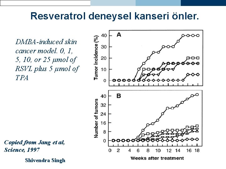 Resveratrol deneysel kanseri önler. DMBA-induced skin cancer model. 0, 1, 5, 10, or 25