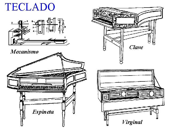TECLADO Mecanismo Clave Espineta Virginal 