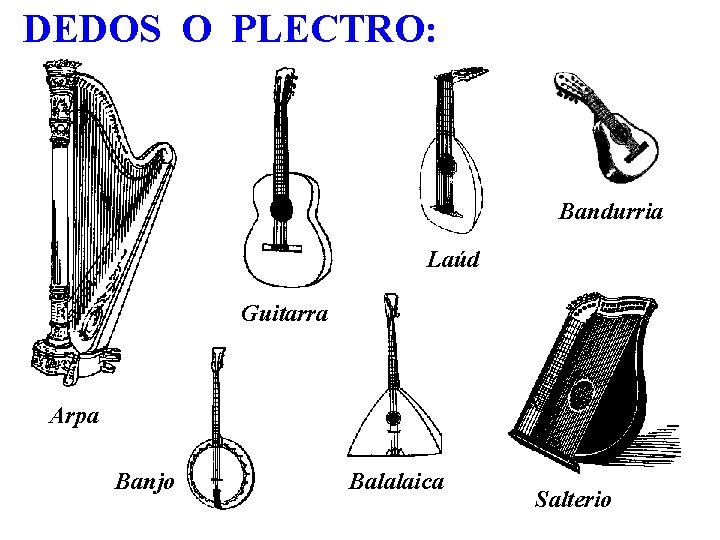 DEDOS O PLECTRO: Bandurria Laúd Guitarra Arpa Banjo Balalaica Salterio 