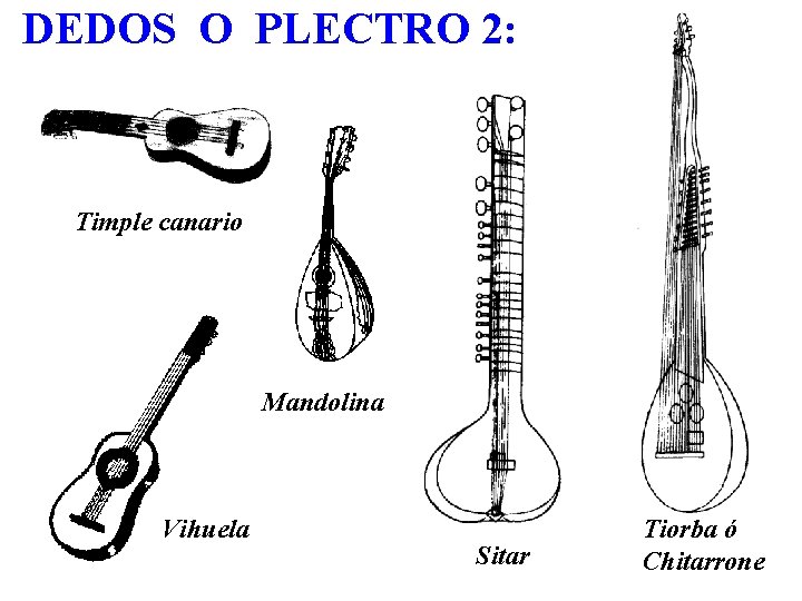 DEDOS O PLECTRO 2: Timple canario Mandolina Vihuela Sitar Tiorba ó Chitarrone 