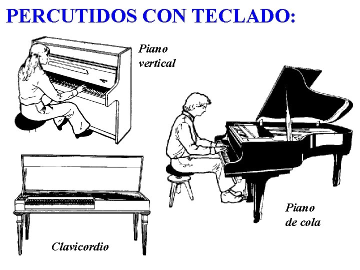 PERCUTIDOS CON TECLADO: Piano vertical Piano de cola Clavicordio 