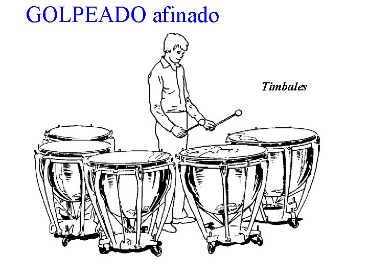 GOLPEADO afinado Timbales 