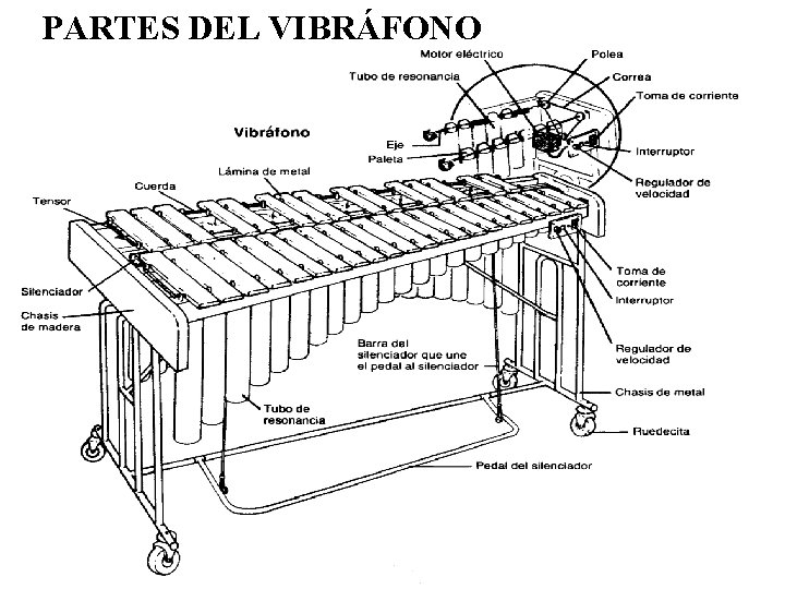 PARTES DEL VIBRÁFONO 