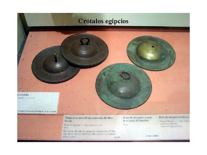 Crótalos egipcios 