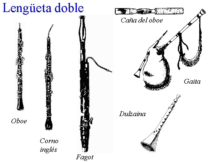 Lengüeta doble Caña del oboe Gaita Dulzaina Oboe Corno inglés Fagot 