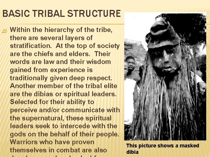 BASIC TRIBAL STRUCTURE Within the hierarchy of the tribe, there are several layers of