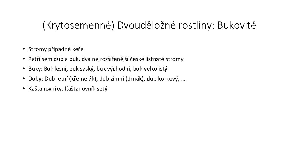 (Krytosemenné) Dvouděložné rostliny: Bukovité • Stromy případně keře • Patří sem dub a buk,