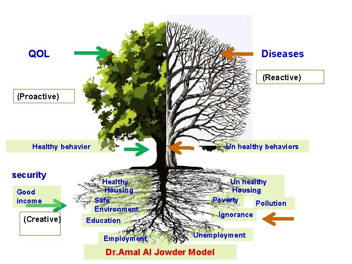 Quality of life Disease and Diseases complication QOL (Reactive) (Proactive) Healthy behavior Peace and