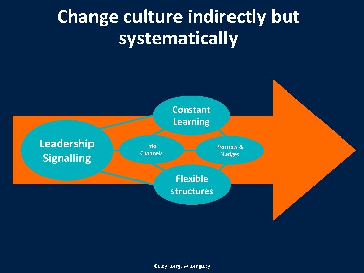 Change culture indirectly but systematically Constant Learning Leadership Signalling Info Channels Prompts & Nudges