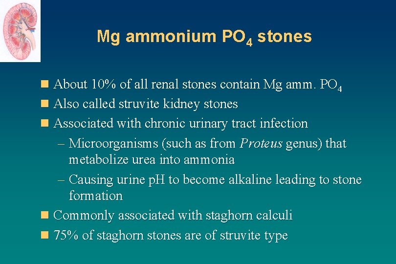 Mg ammonium PO 4 stones n About 10% of all renal stones contain Mg