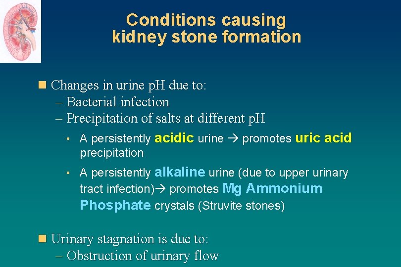 Conditions causing kidney stone formation n Changes in urine p. H due to: –