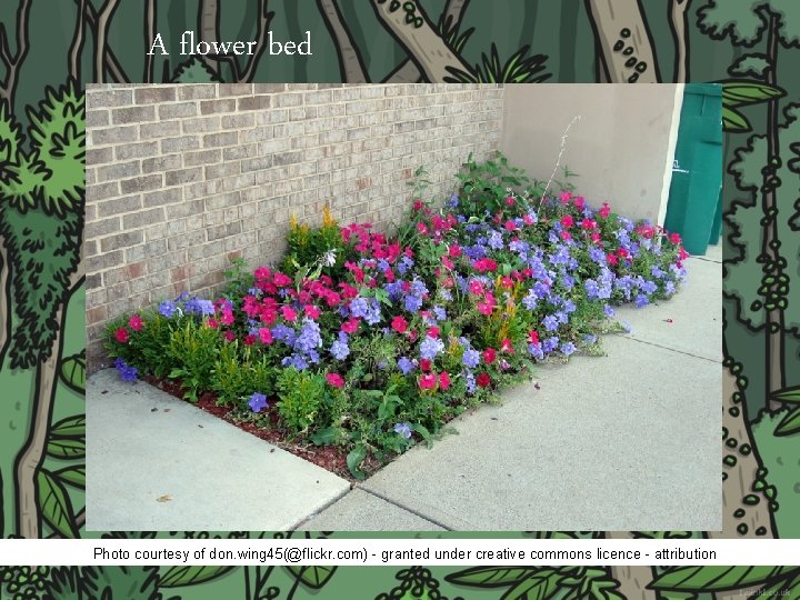 A flower bed Photo courtesy of don. wing 45(@flickr. com) - granted under creative