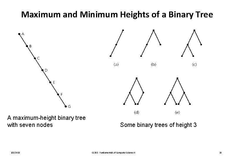Maximum and Minimum Heights of a Binary Tree A maximum-height binary tree with seven
