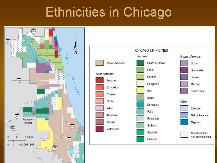 Ethnicities in Chicago Fig. 7 -5: African Americans, Hispanic Americans, Asian Americans, and European