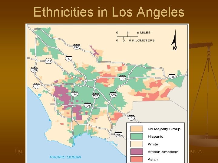 Ethnicities in Los Angeles Fig. 7 -6: Hispanic, white, African American, and Asian areas
