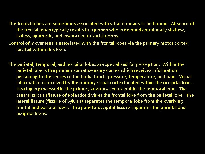 The frontal lobes are sometimes associated with what it means to be human. Absence