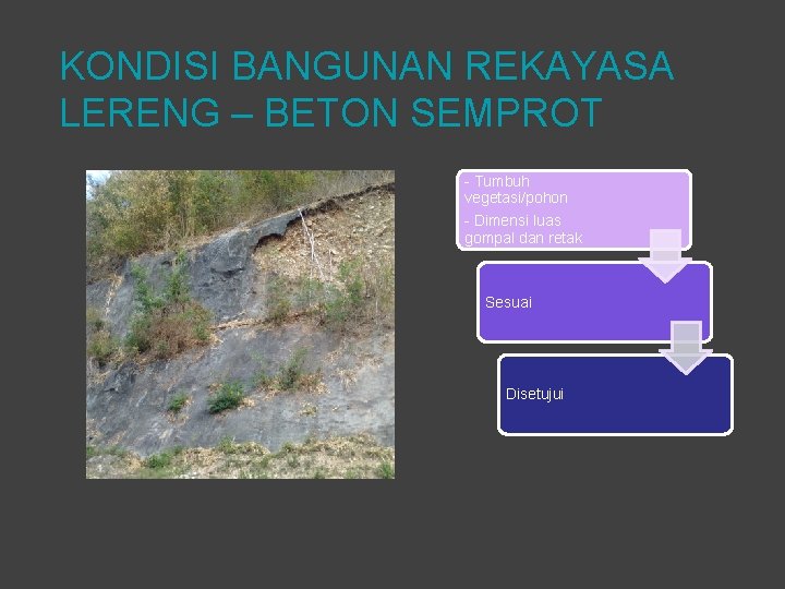 KONDISI BANGUNAN REKAYASA LERENG – BETON SEMPROT - Tumbuh vegetasi/pohon - Dimensi luas gompal