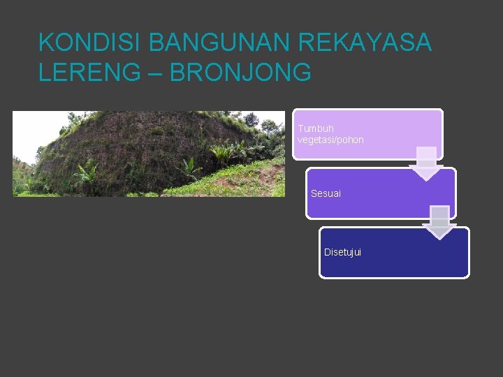 KONDISI BANGUNAN REKAYASA LERENG – BRONJONG Tumbuh vegetasi/pohon Sesuai Disetujui 