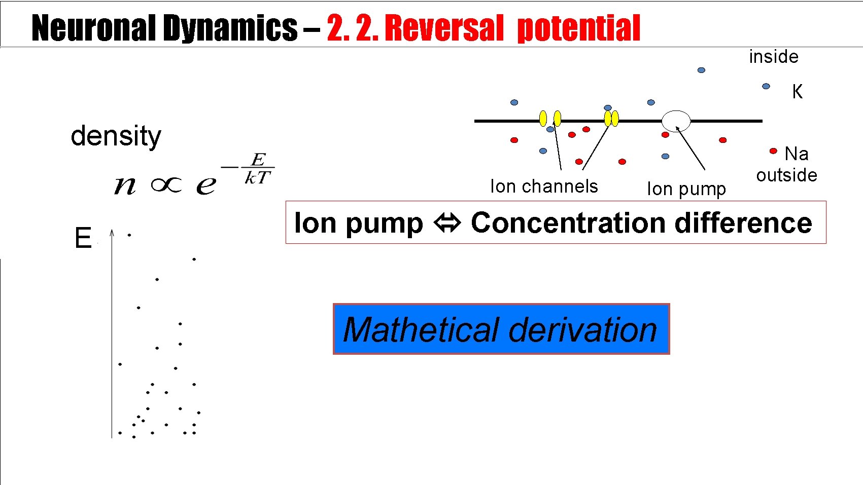 Neuronal Dynamics – 2. 2. Reversal potential inside 100 Ka K density m. V