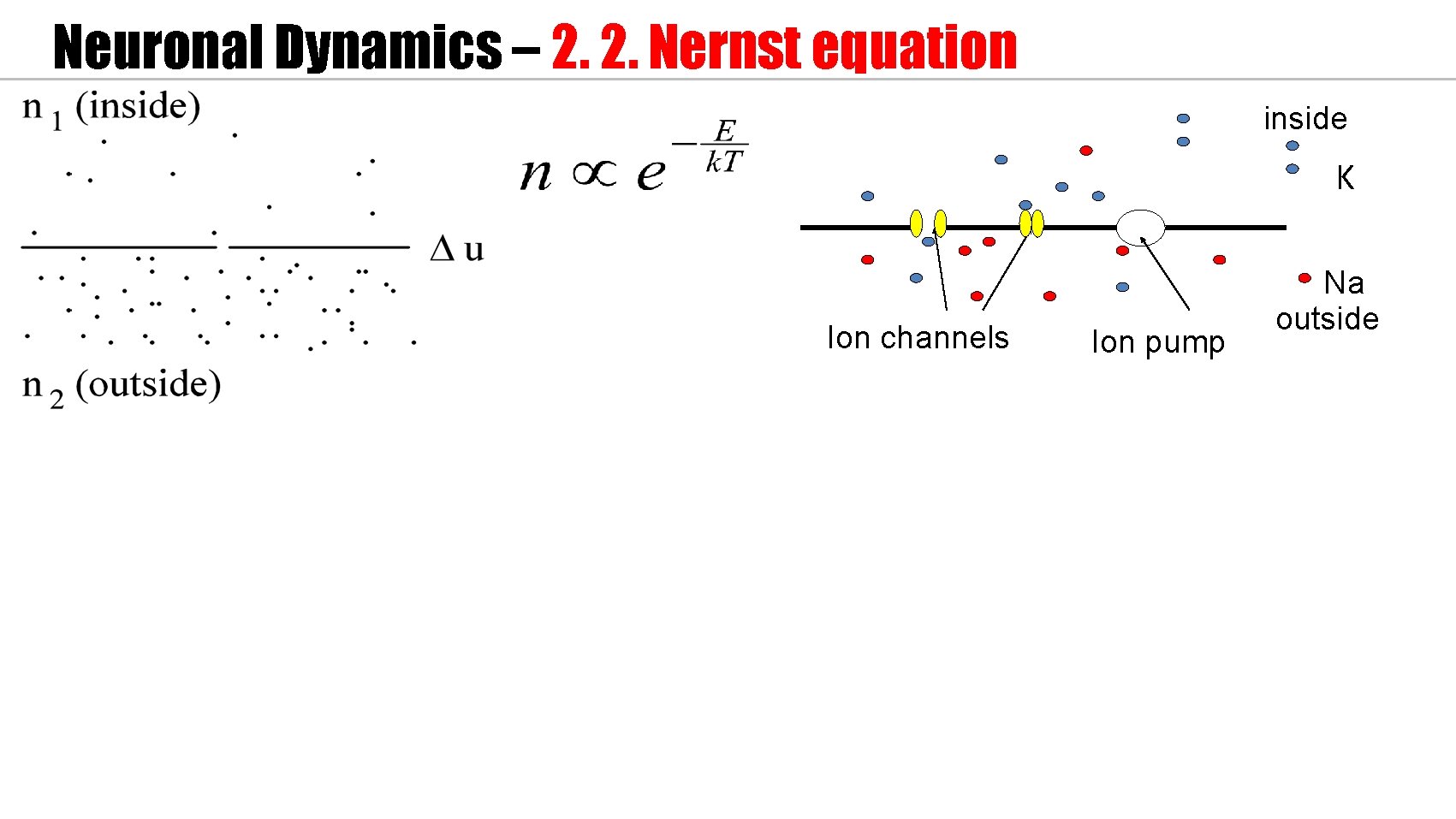 Neuronal Dynamics – 2. 2. Nernst equation inside 100 Ka K m. V 0