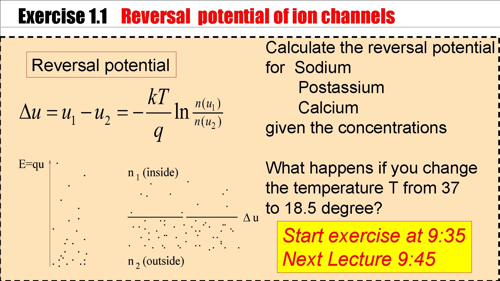 Exercise 1. 1 Reversal potential of ion channels Reversal potential Calculate the reversal potential