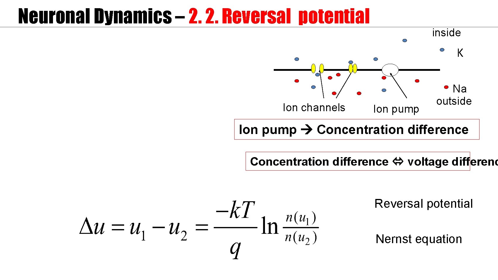 Neuronal Dynamics – 2. 2. Reversal potential inside Ka K Ion channels Ion pump