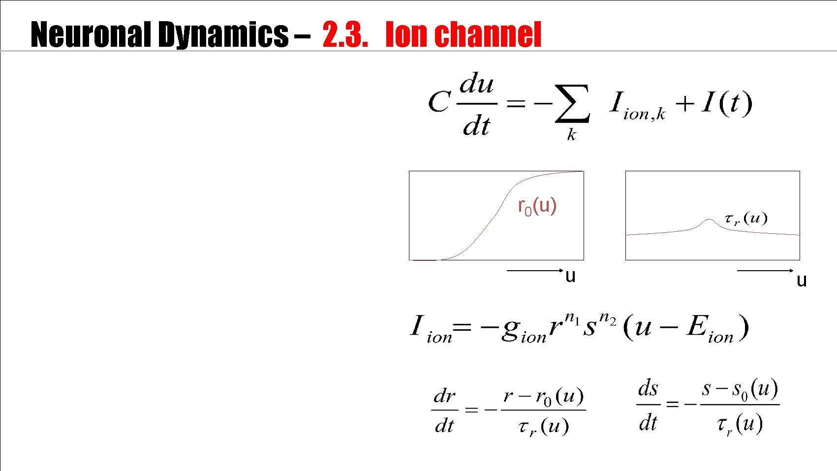 Neuronal Dynamics – 2. 3. Ion channel r 0(u) u u 