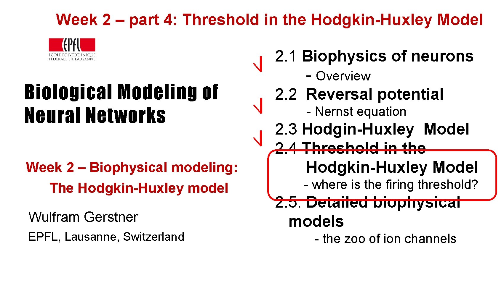 Week 2 – part 4: Threshold in the Hodgkin-Huxley Model Biological Modeling of Neural