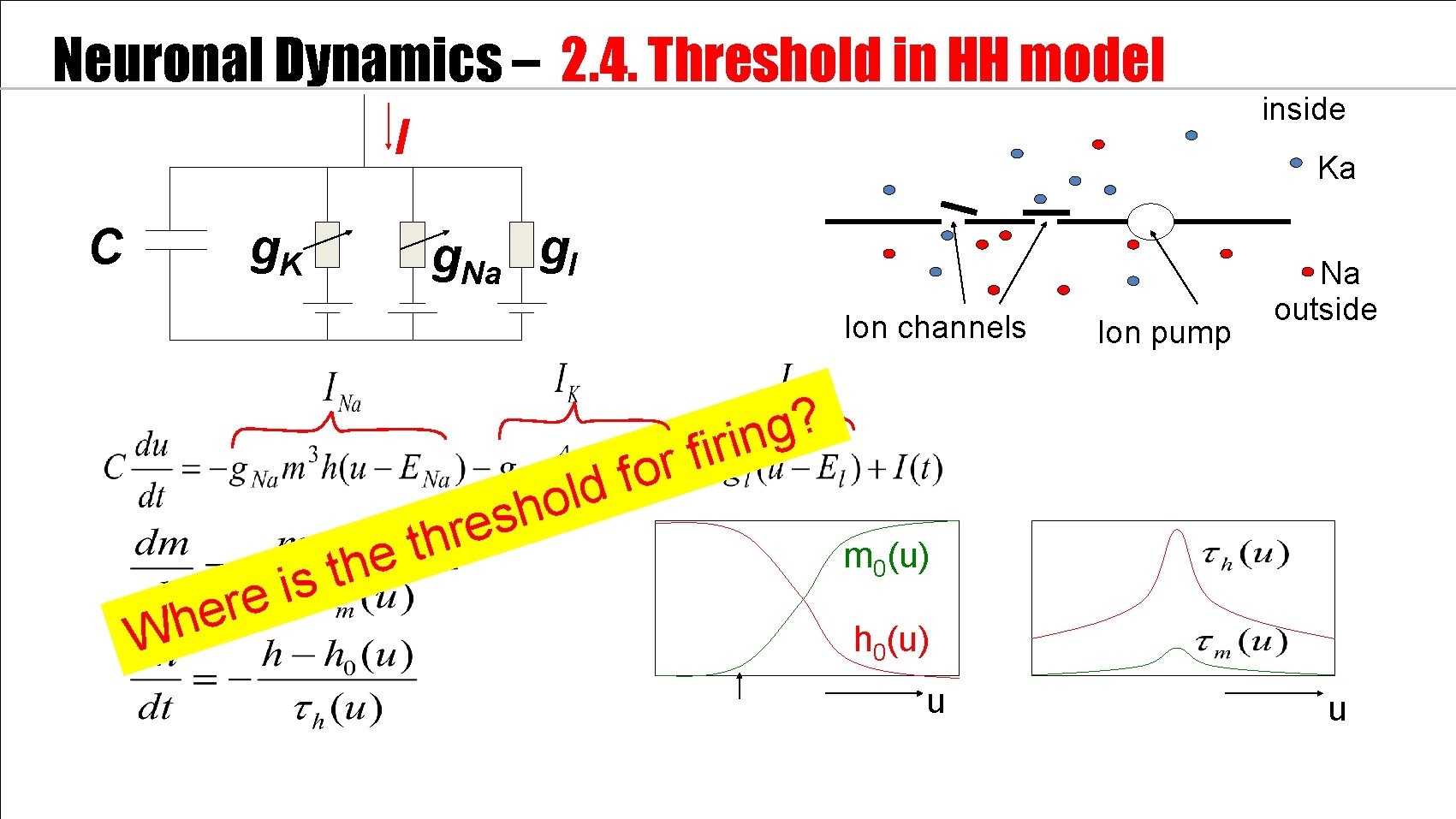 Neuronal Dynamics – 2. 4. Threshold in HH model I C g. K Ka