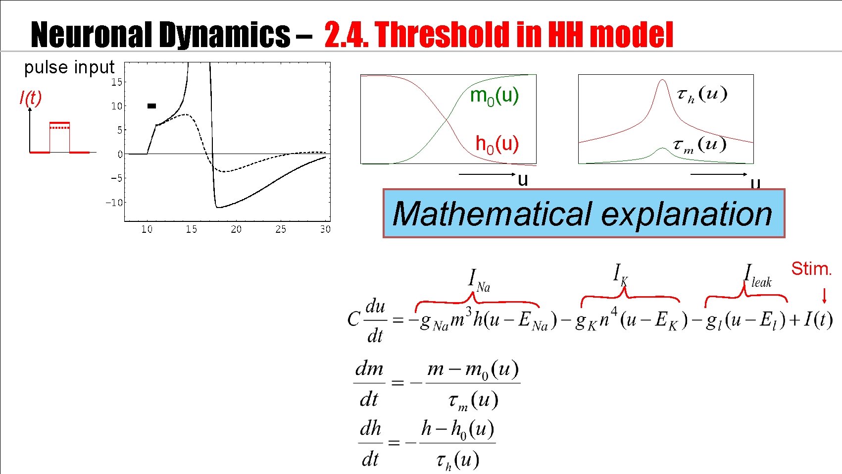 Neuronal Dynamics – 2. 4. Threshold in HH model pulse input I(t) m 0(u)