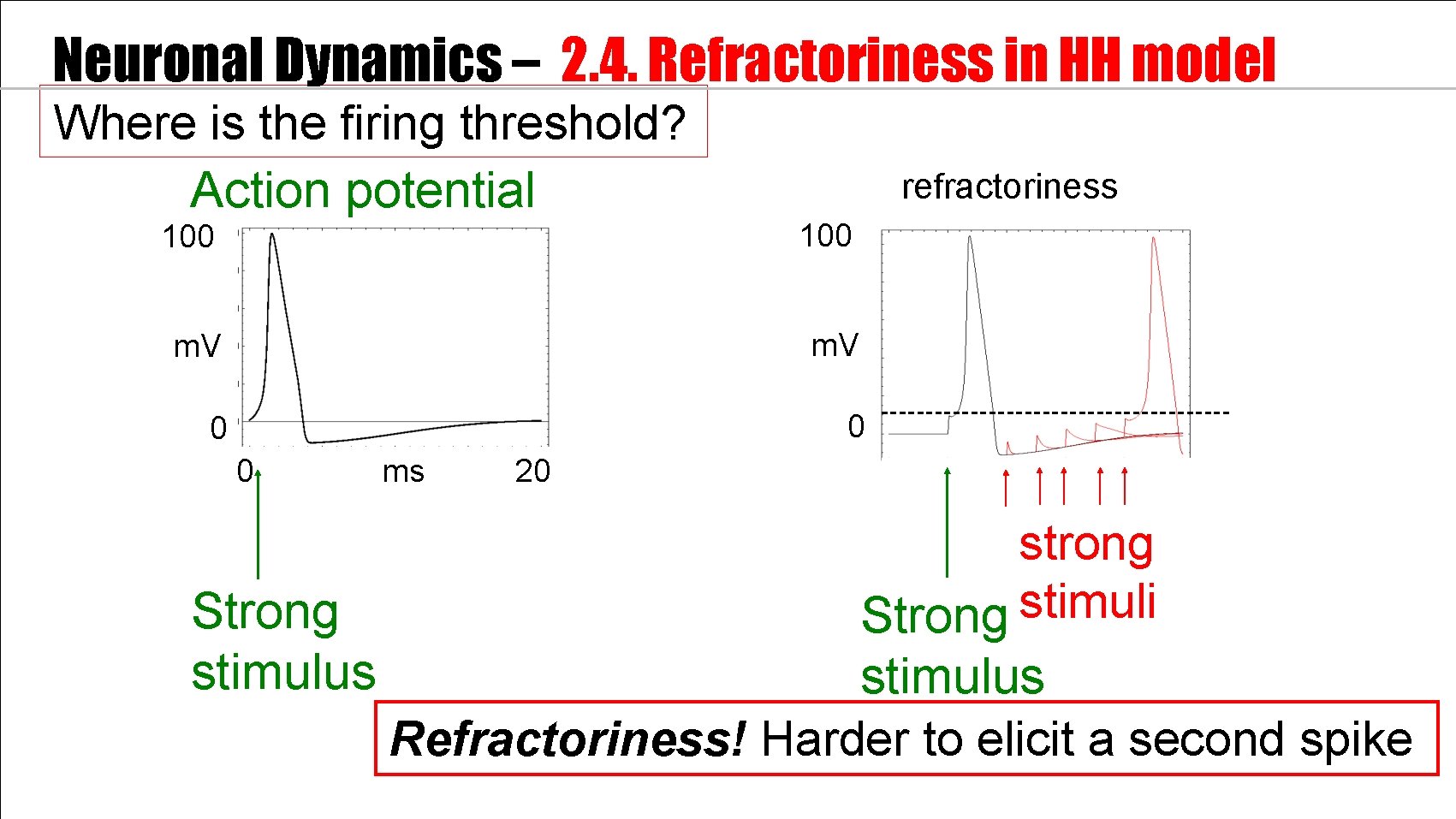 Neuronal Dynamics – 2. 4. Refractoriness in HH model Where is the firing threshold?