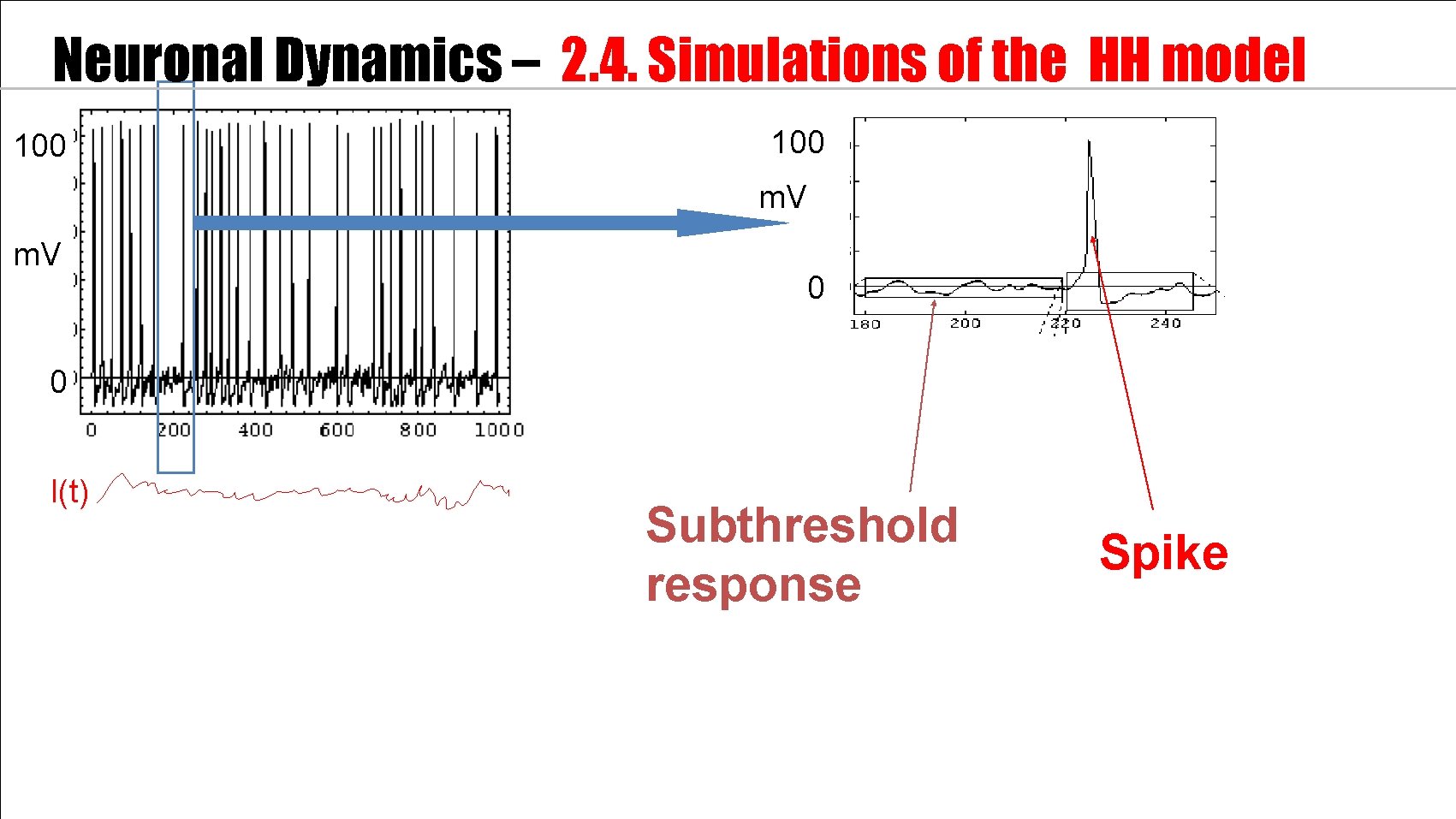 Neuronal Dynamics – 2. 4. Simulations of the HH model 100 m. V 0