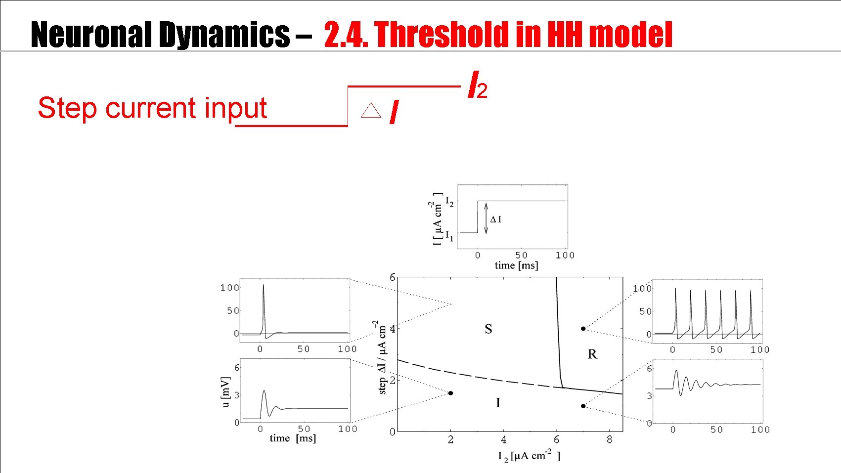 Neuronal Dynamics – 2. 4. Threshold in HH model Step current input I I