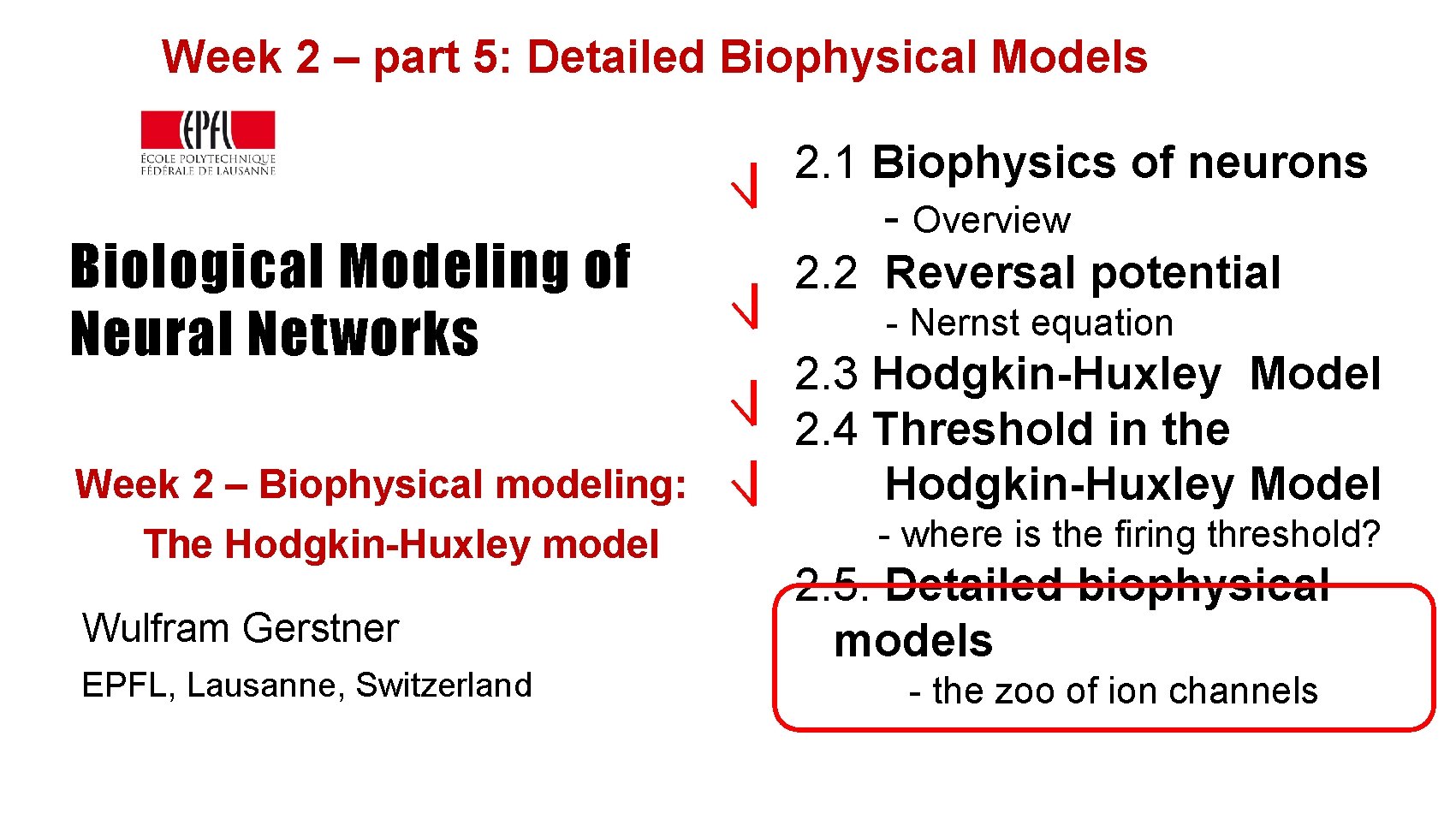 Week 2 – part 5: Detailed Biophysical Models Biological Modeling of Neural Networks Week