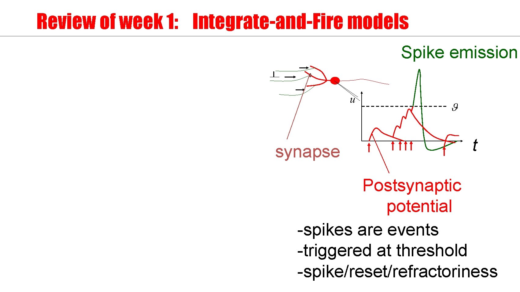 Review of week 1: Integrate-and-Fire models Spike emission synapse t Postsynaptic potential -spikes are