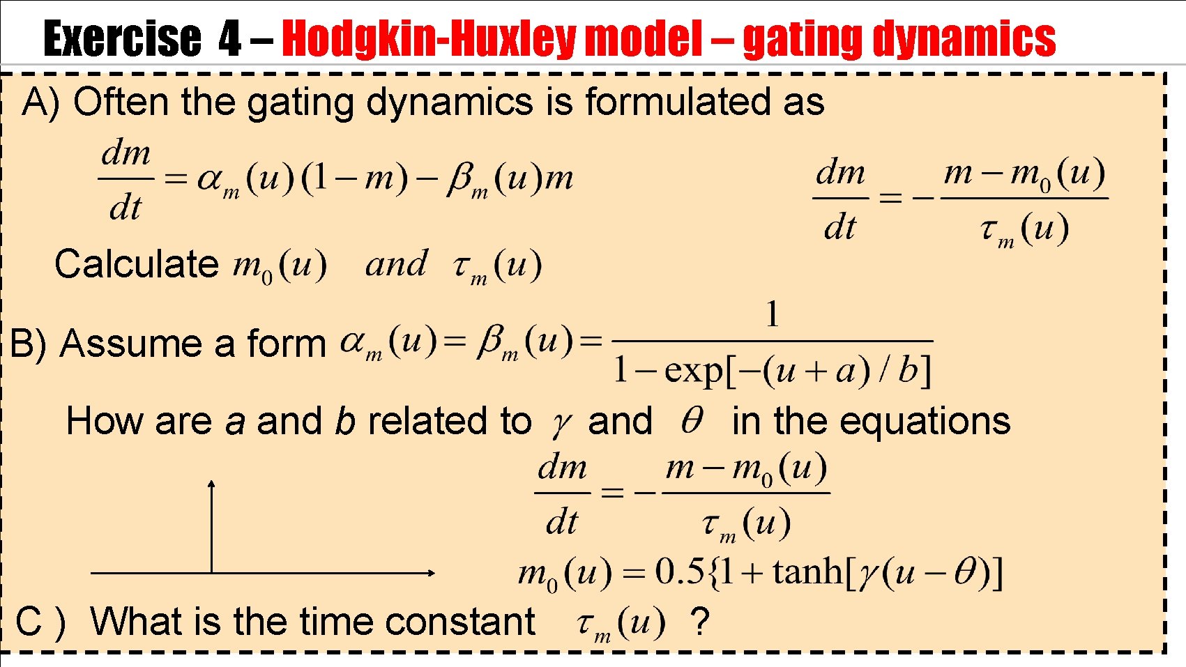 Exercise 4 – Hodgkin-Huxley model – gating dynamics A) Often the gating dynamics is
