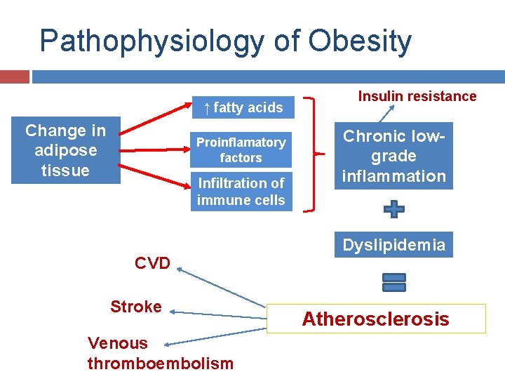 Pathophysiology of Obesity ↑ fatty acids Change in adipose tissue Proinflamatory factors Infiltration of