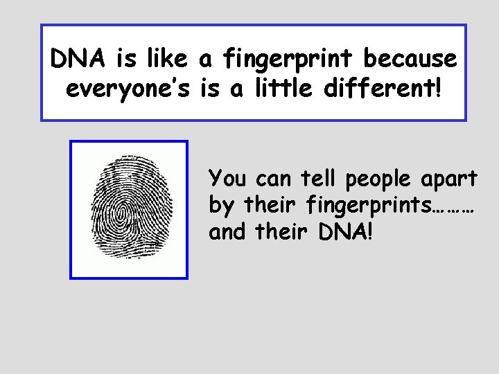 DNA is like a fingerprint because everyone’s is a little different! You can tell