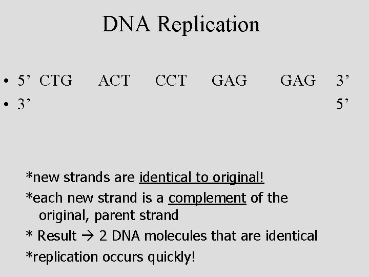 DNA Replication • 5’ CTG • 3’ ACT CCT GAG *new strands are identical