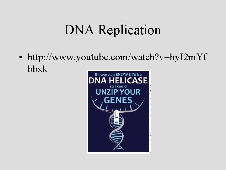 DNA Replication • http: //www. youtube. com/watch? v=hy. I 2 m. Yf bbxk 