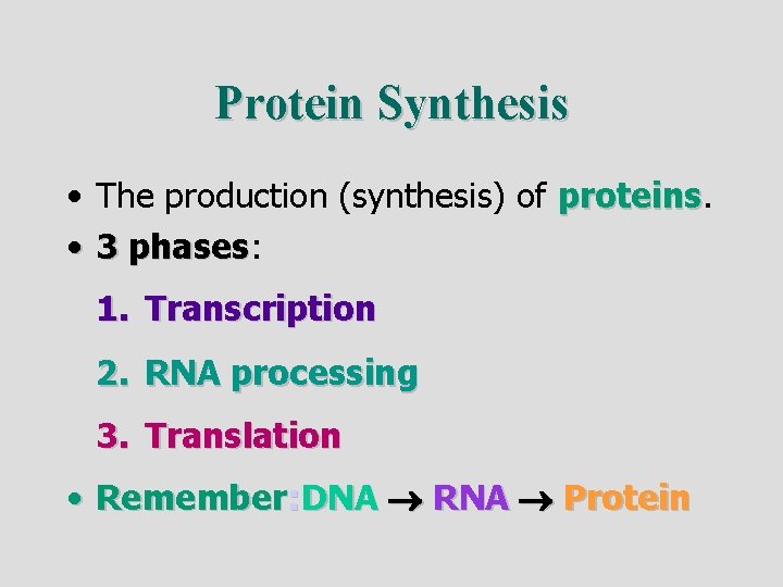 Protein Synthesis • The production (synthesis) of proteins • 3 phases: phases 1. Transcription